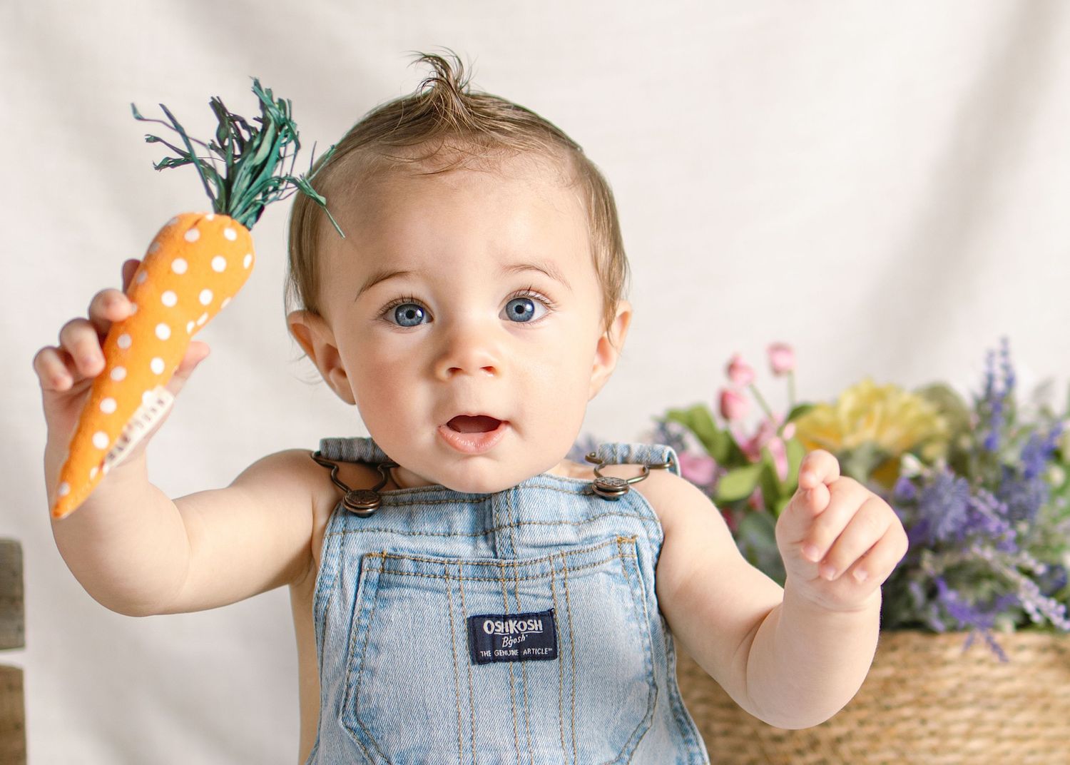 Adorable baby with blue eyes in denim overalls holds a polka dot toy carrot near a flower basket.