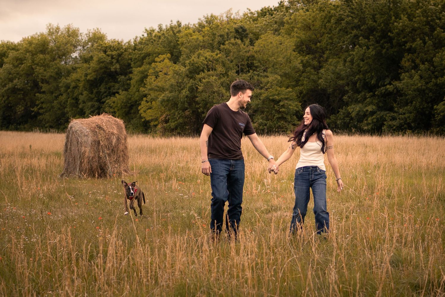 Couple holding hands in a golden field with a hay bale and dog, surrounded by lush green trees.