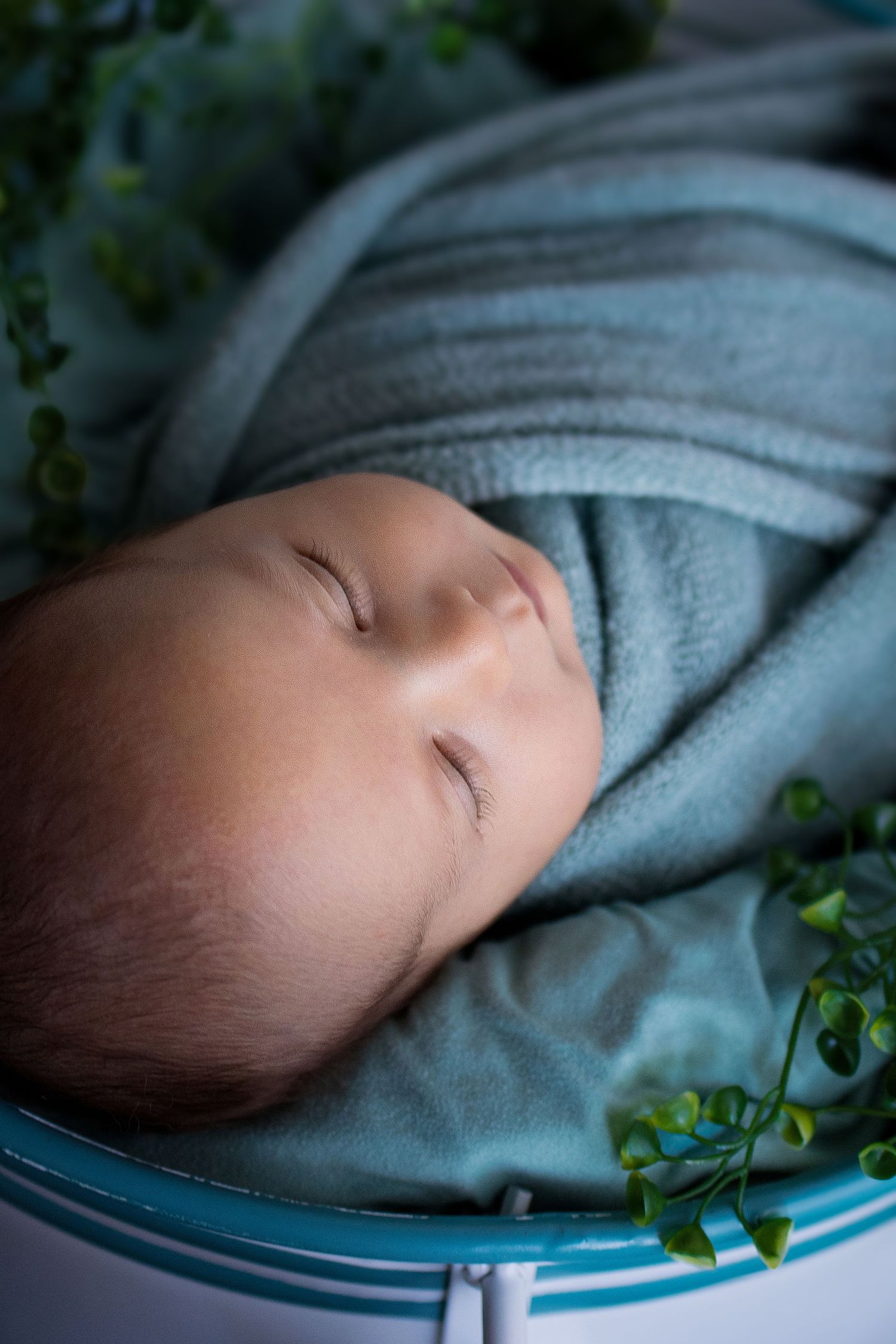 Peaceful newborn baby swaddled in a soft teal blanket, sleeping in a small basket surrounded by green leaves.