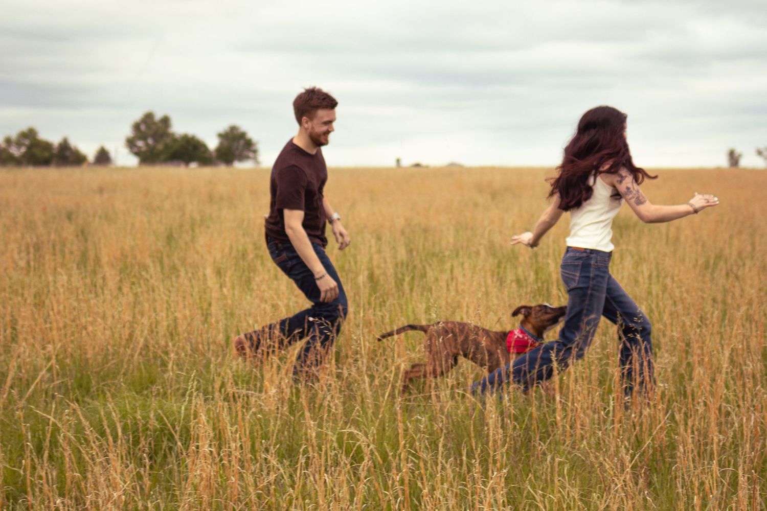 Couple playing with two dogs in a golden grass field on a cloudy day.