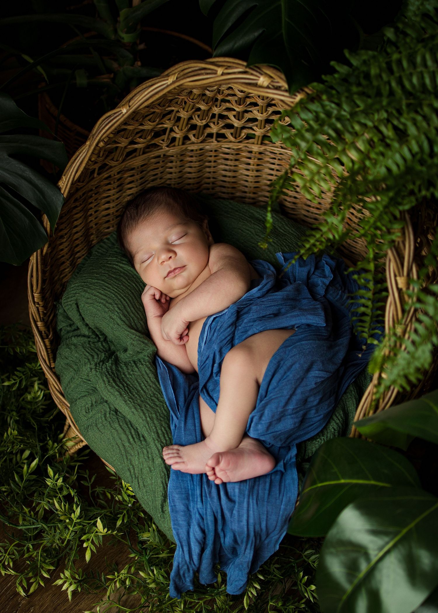 Newborn baby sleeping peacefully in a wicker basket with blue wrap and green blanket surrounded by lush tropical plants.