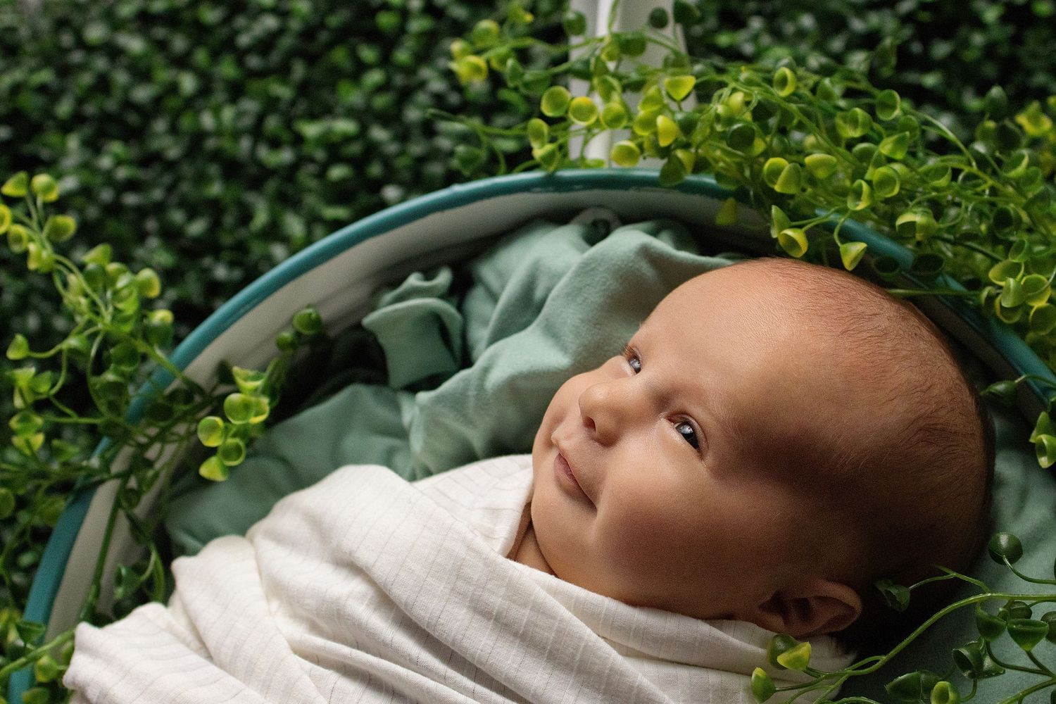 Newborn baby swaddled in white wrap, peacefully resting in a basket surrounded by lush green leaves.