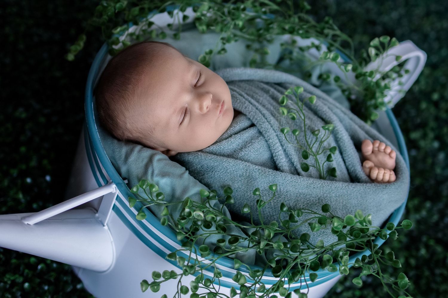 Newborn baby sleeping peacefully wrapped in gray cloth inside a decorative watering can surrounded by green foliage.