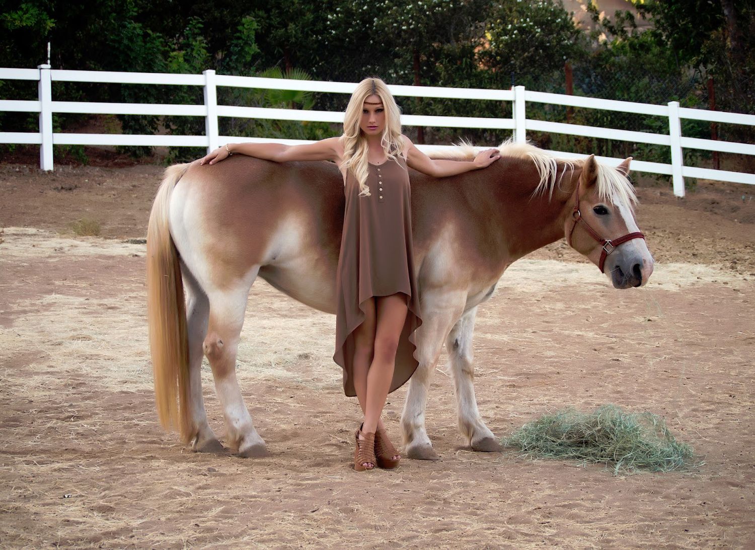 Editorial fashion photography featuring a blonde model in a brown dress standing with a Haflinger horse at a ranch photo studio in Escondido