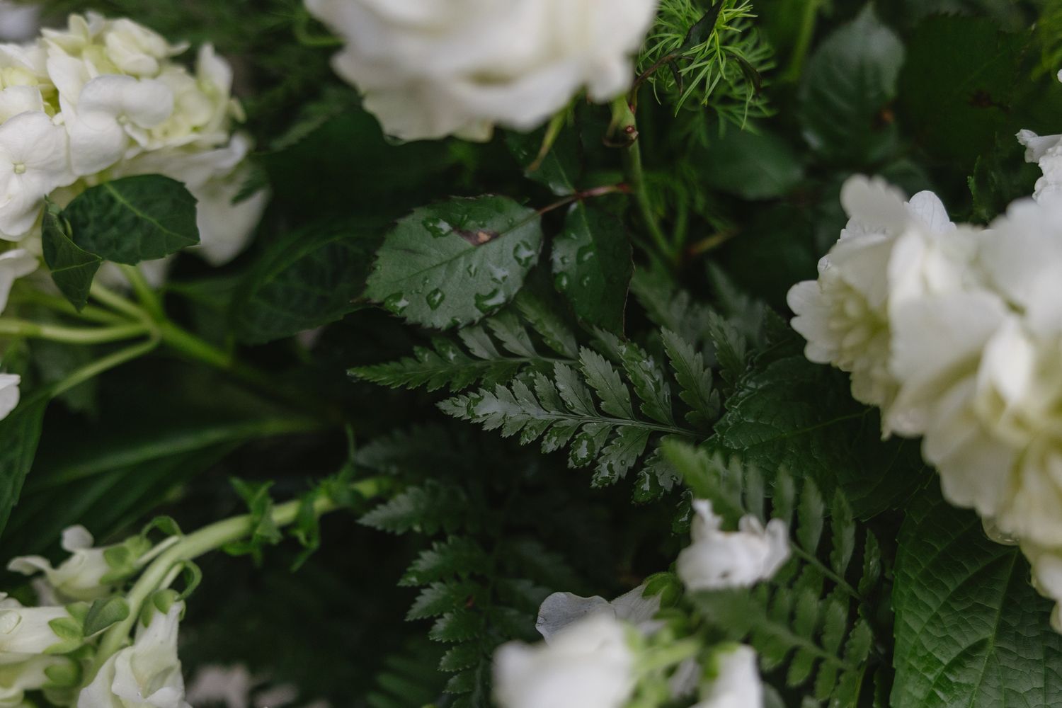 Wedding details at Elkins Estate Philadelphia, refined editorial style-1.jpg