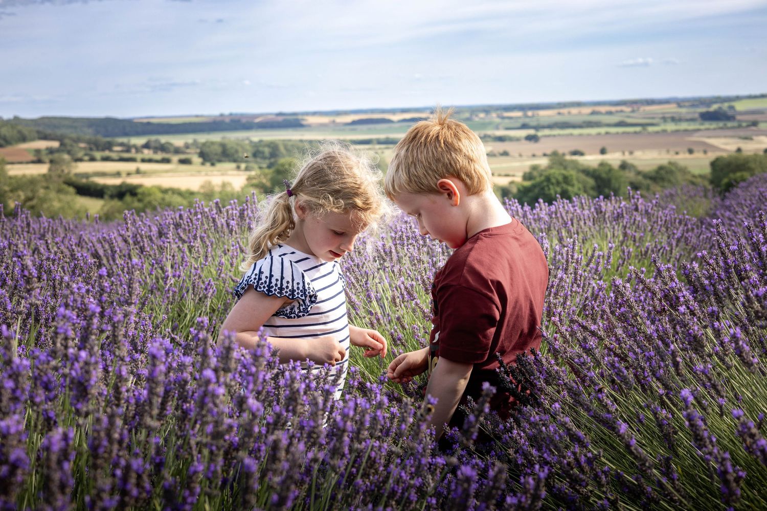 two children in a lavender field