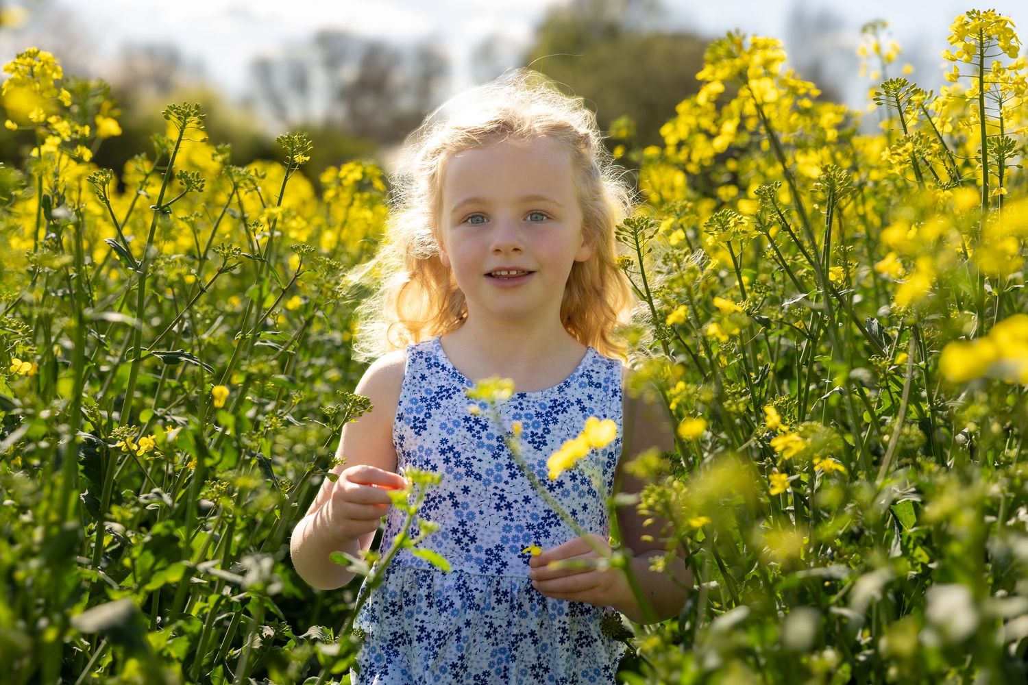 girl in field of yellow flowers