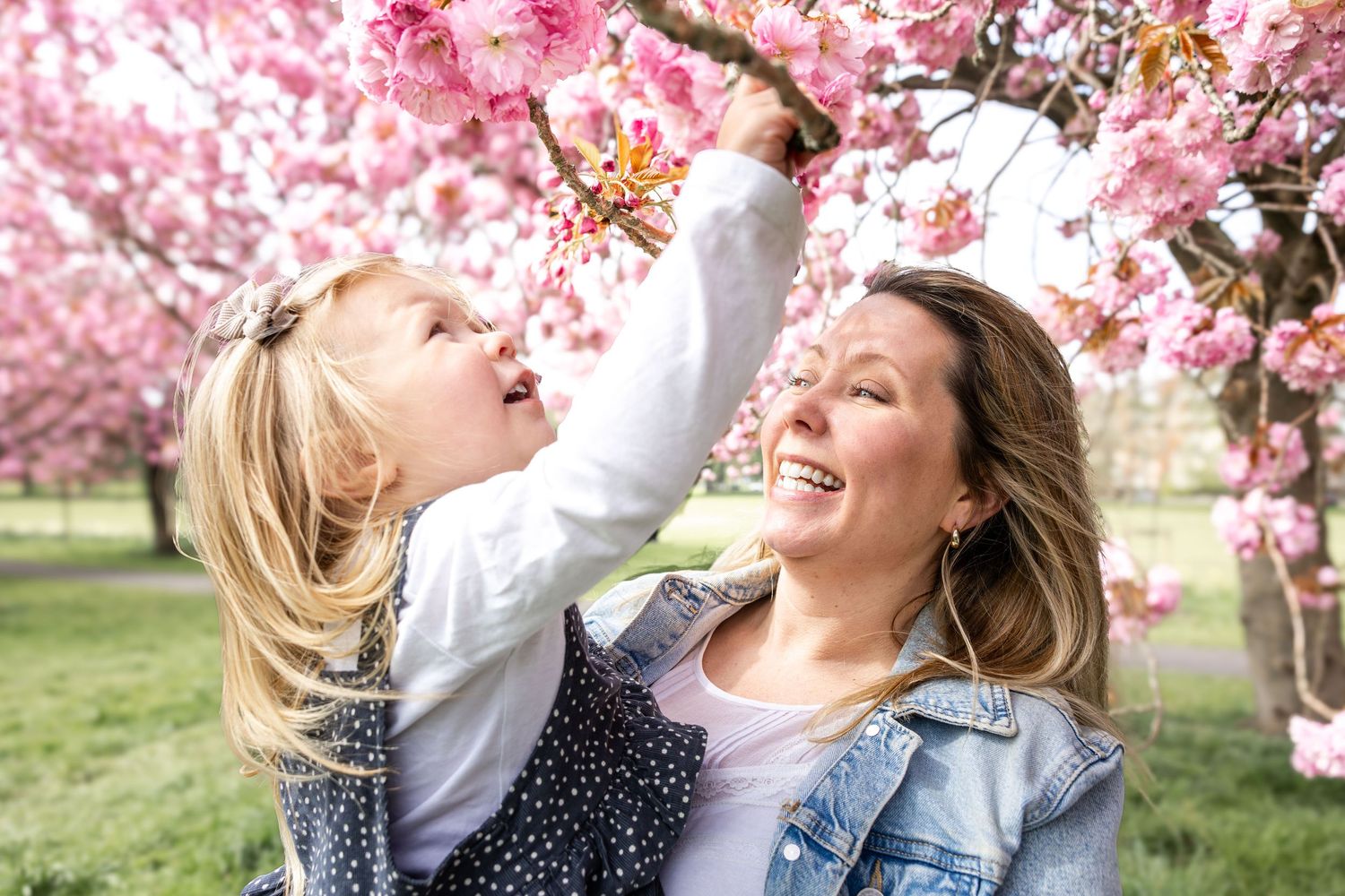 mother holding child reaching for the blossom tree