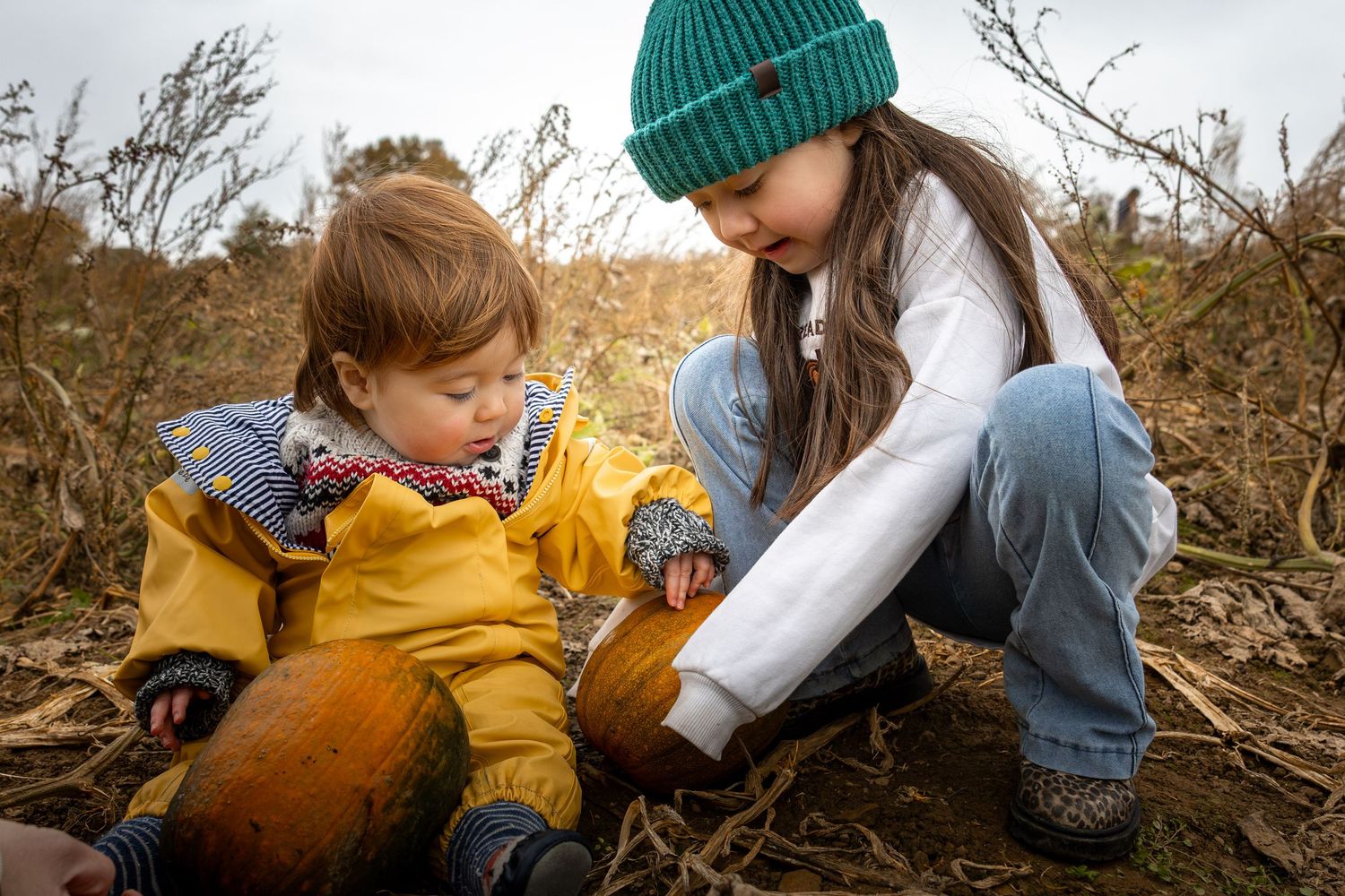 Children holding pumpkins