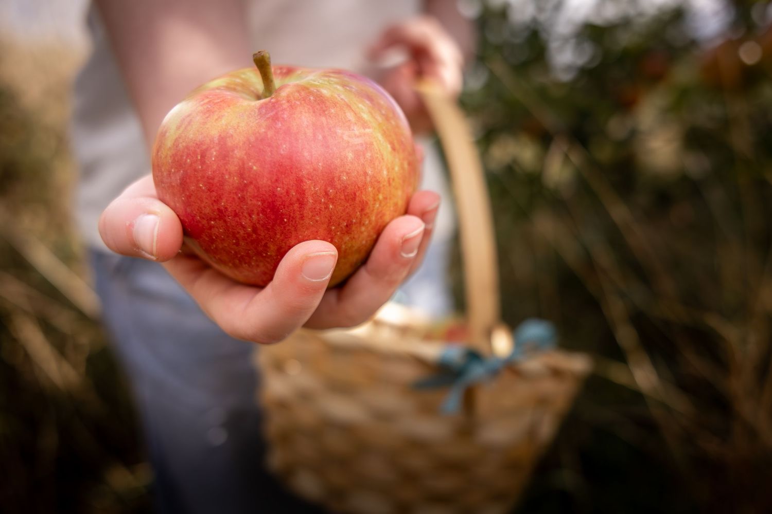 Child holding an apple