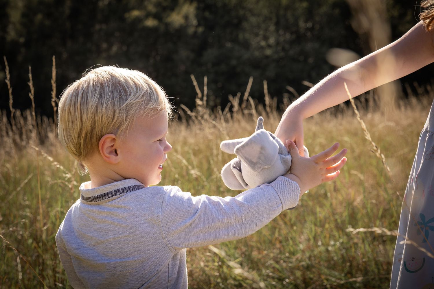 Boy reaching for teddy in a meadow