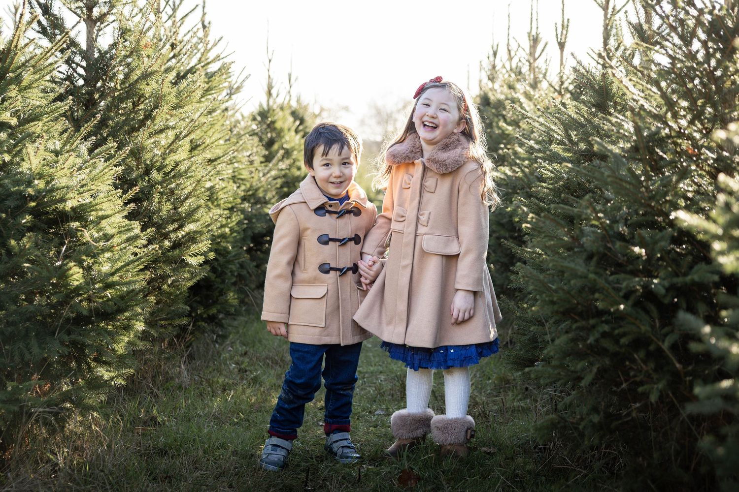 Children standing in a Christmas tree farm