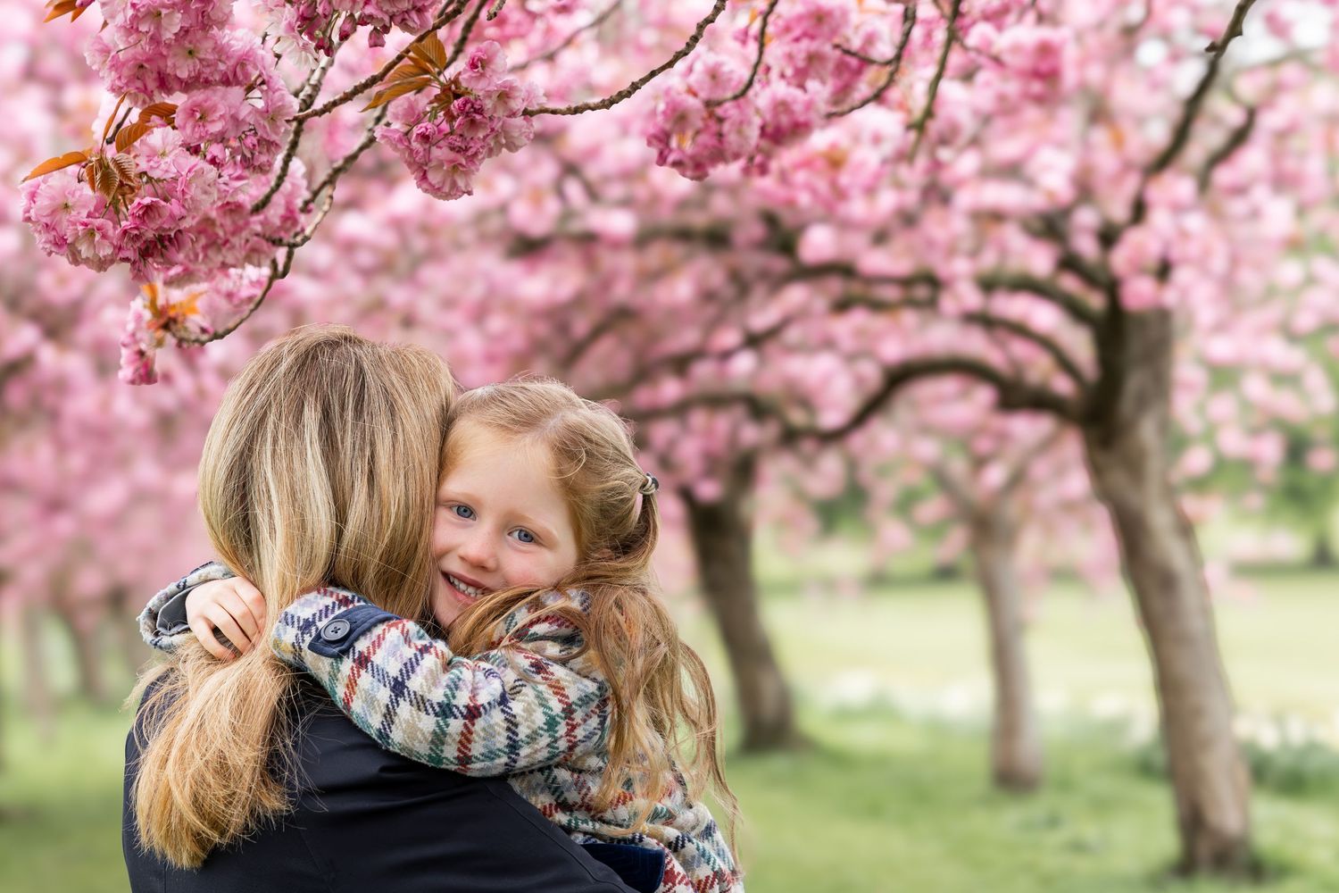 child looking over mother's shoulder smiling under blossom tree