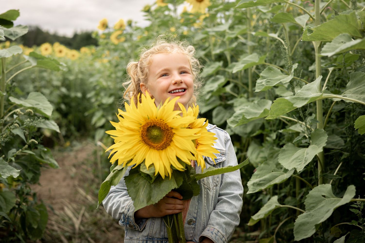 girl holding a sunflower