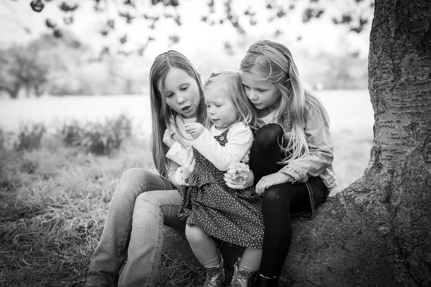 children sitting on a tree trunk