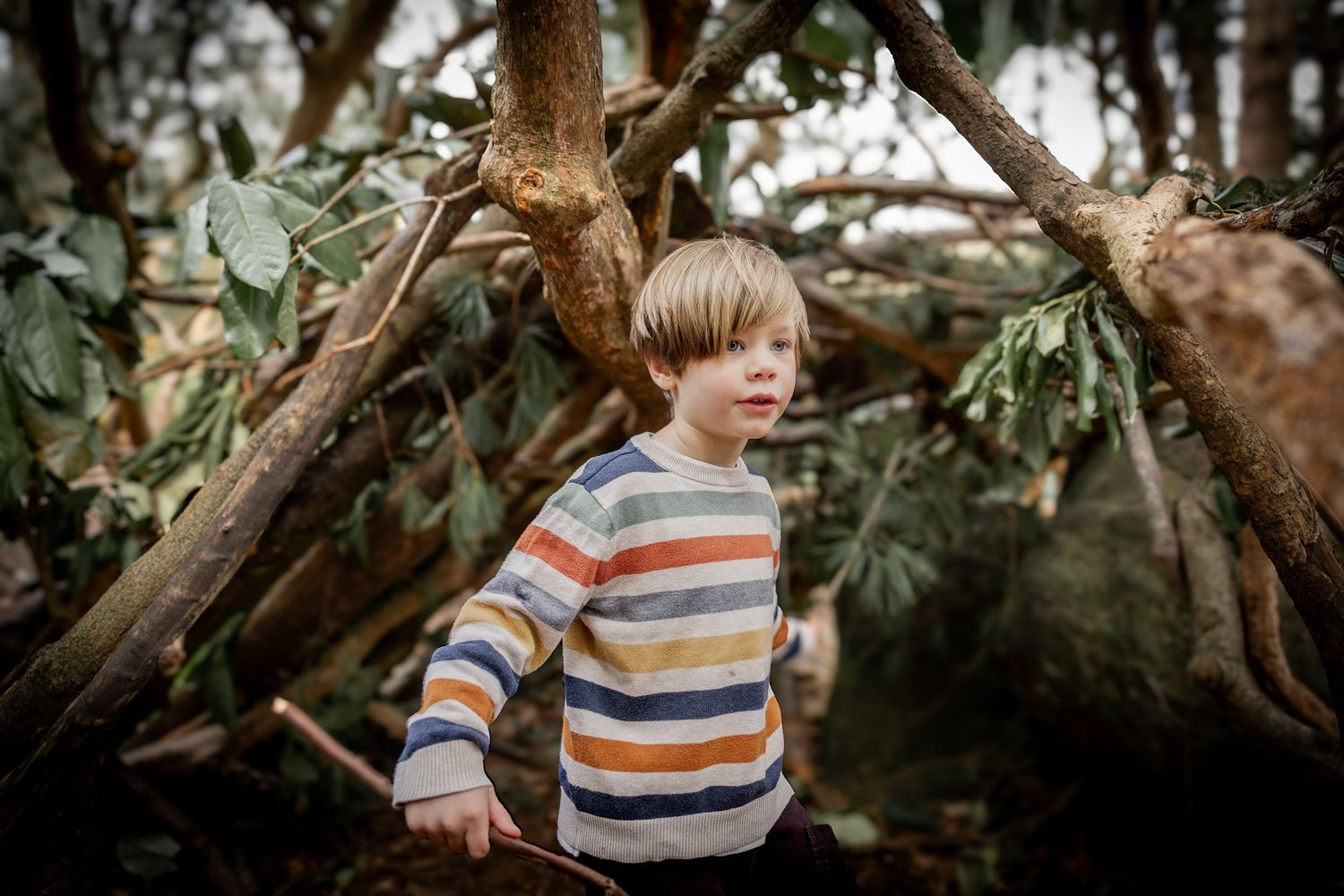 boy standing in woodland