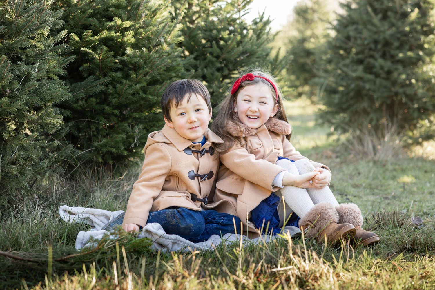 Children sitting in a Christmas tree farm
