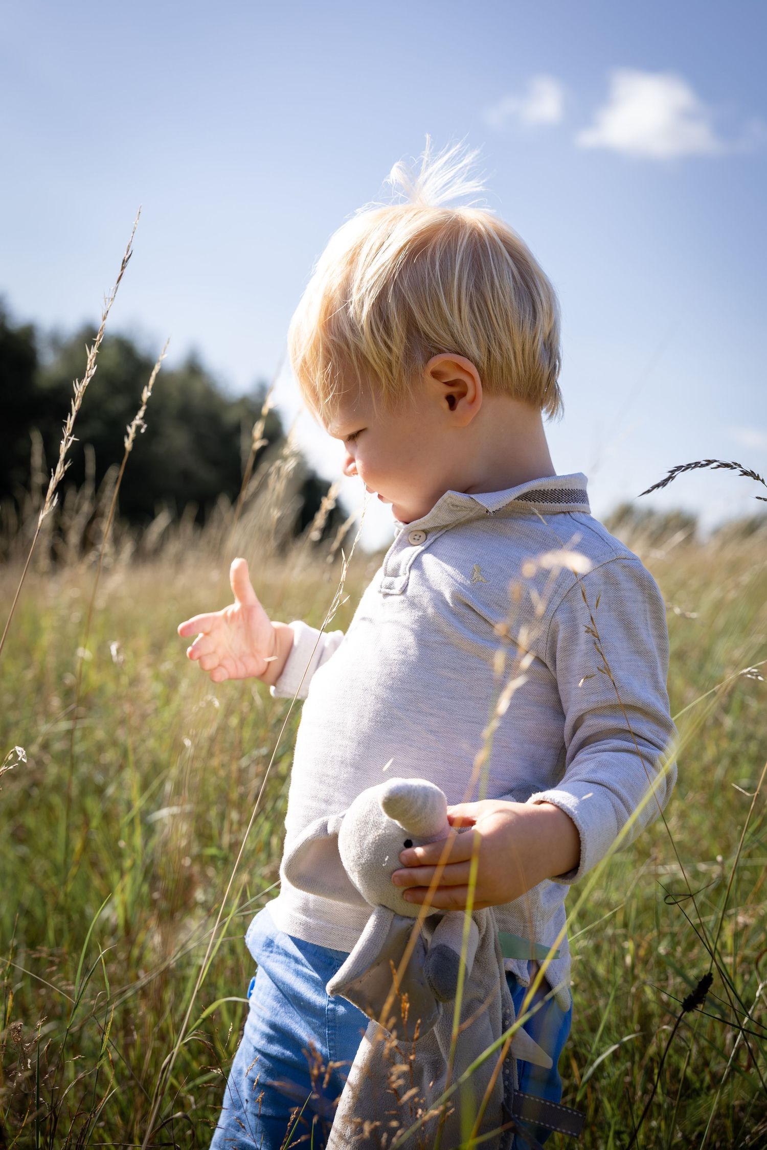child standing in a meadow holding a teddy