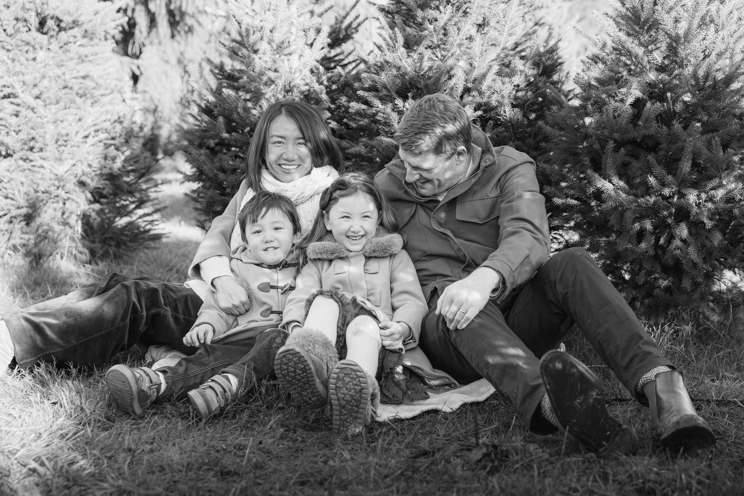 family sitting together in a Christmas tree farm