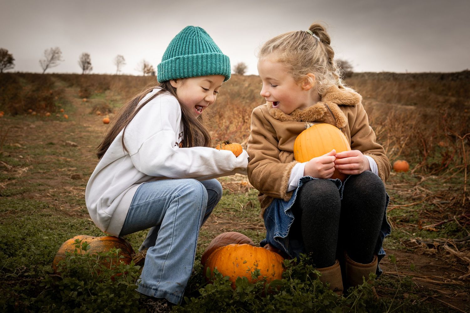 Children sitting on pumpkins in a pumpkin patch