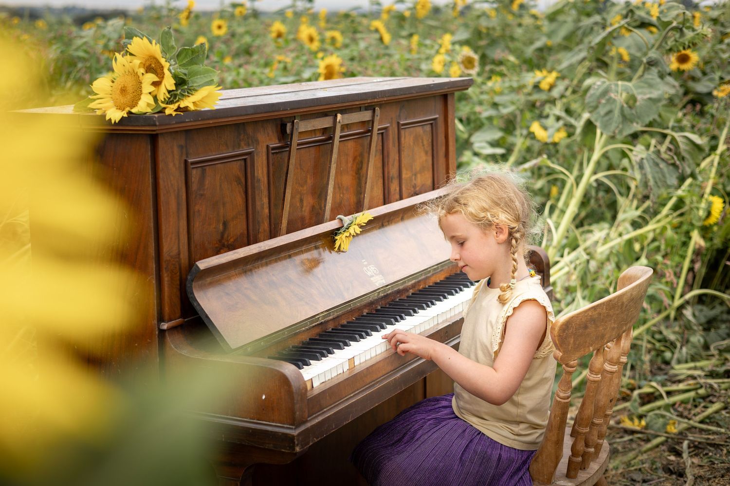 child playing a piano in a sunflower field