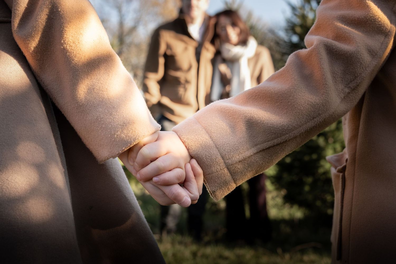 Children holding hands in a Christmas tree farm