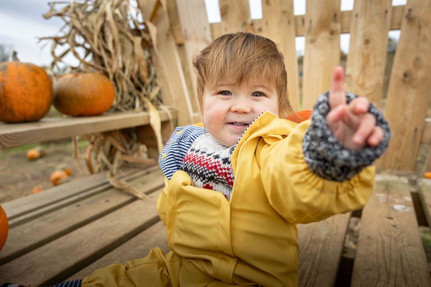 Child in a pumpkin patch