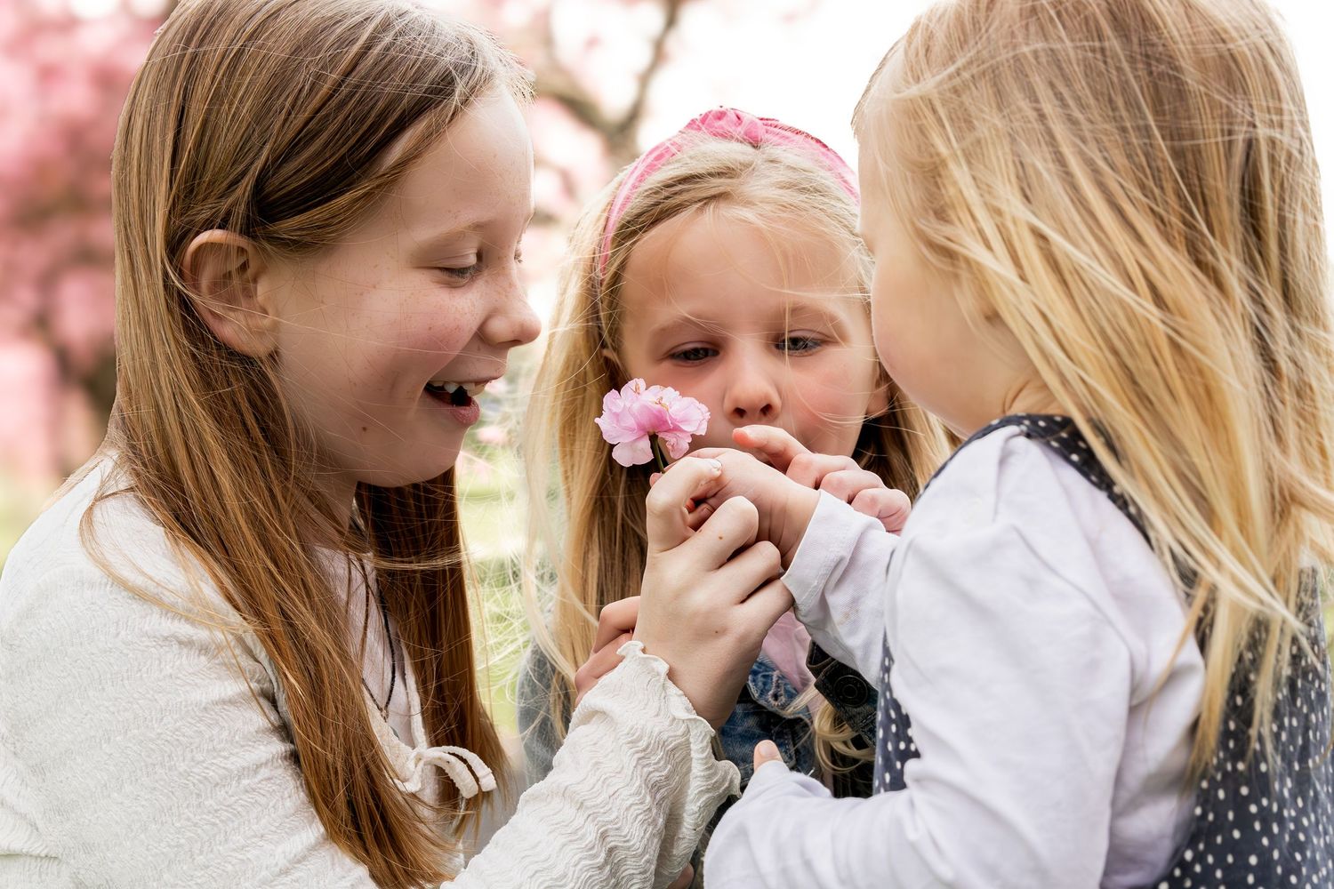 Three children looking at blossom