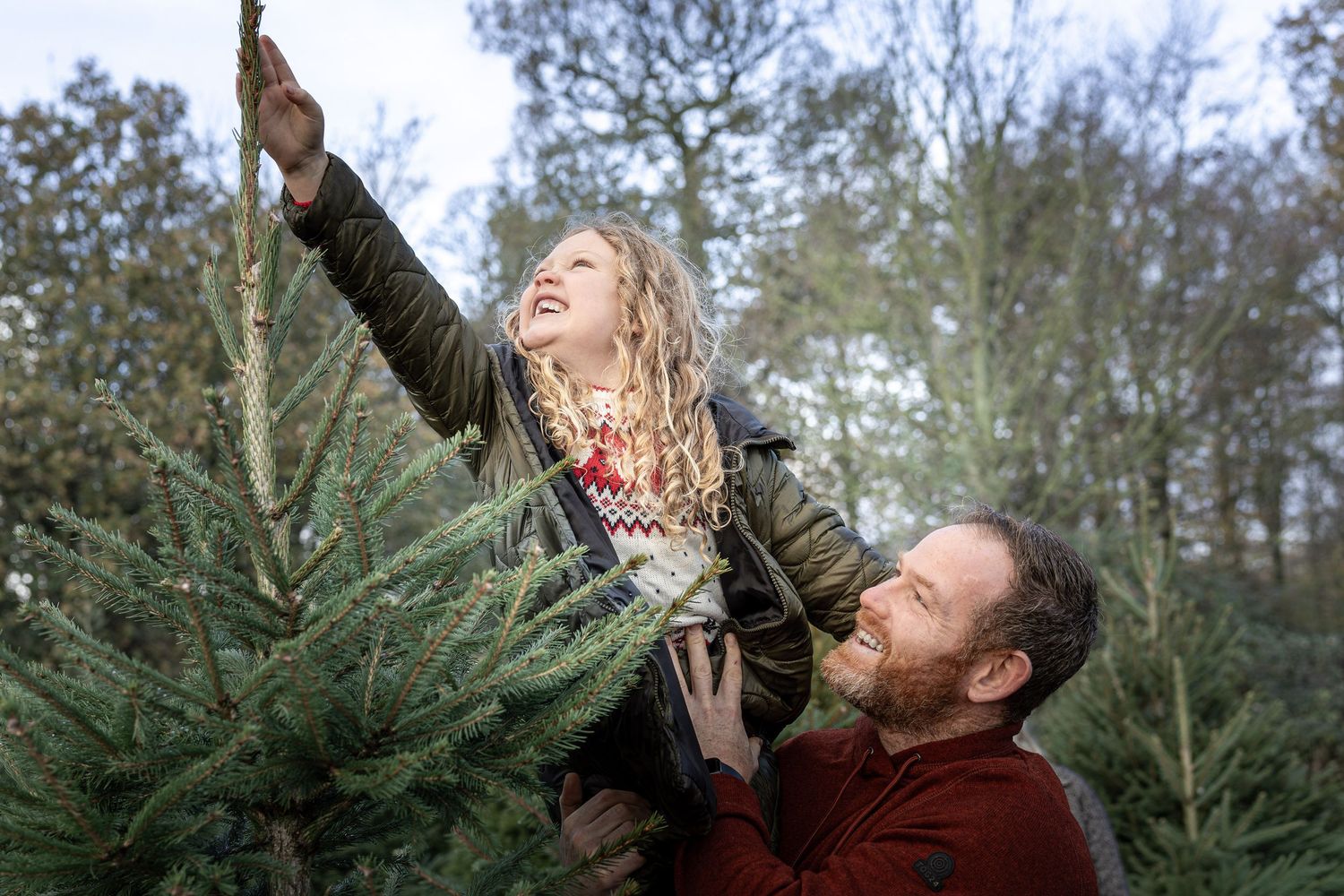 child reaching for the top of a Christmas tree, held by father