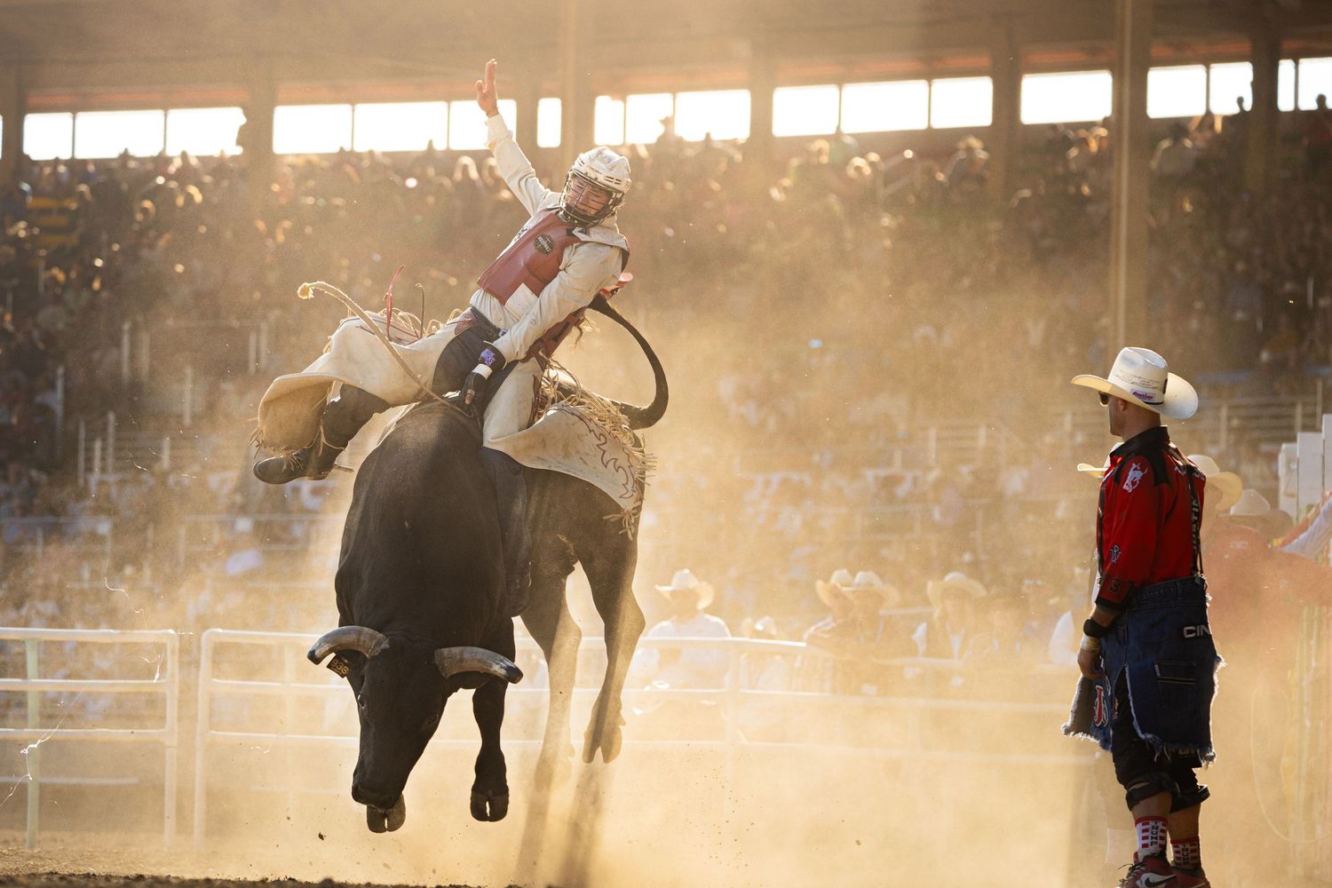 Dusty rodeo scene with riders and horses in golden sunset light.