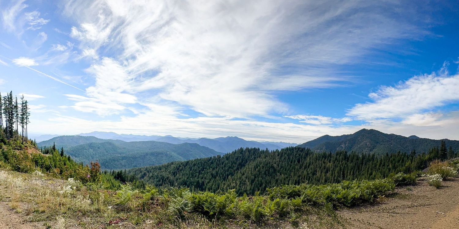 Sweeping mountain vista with evergreen forests under bright blue skies.