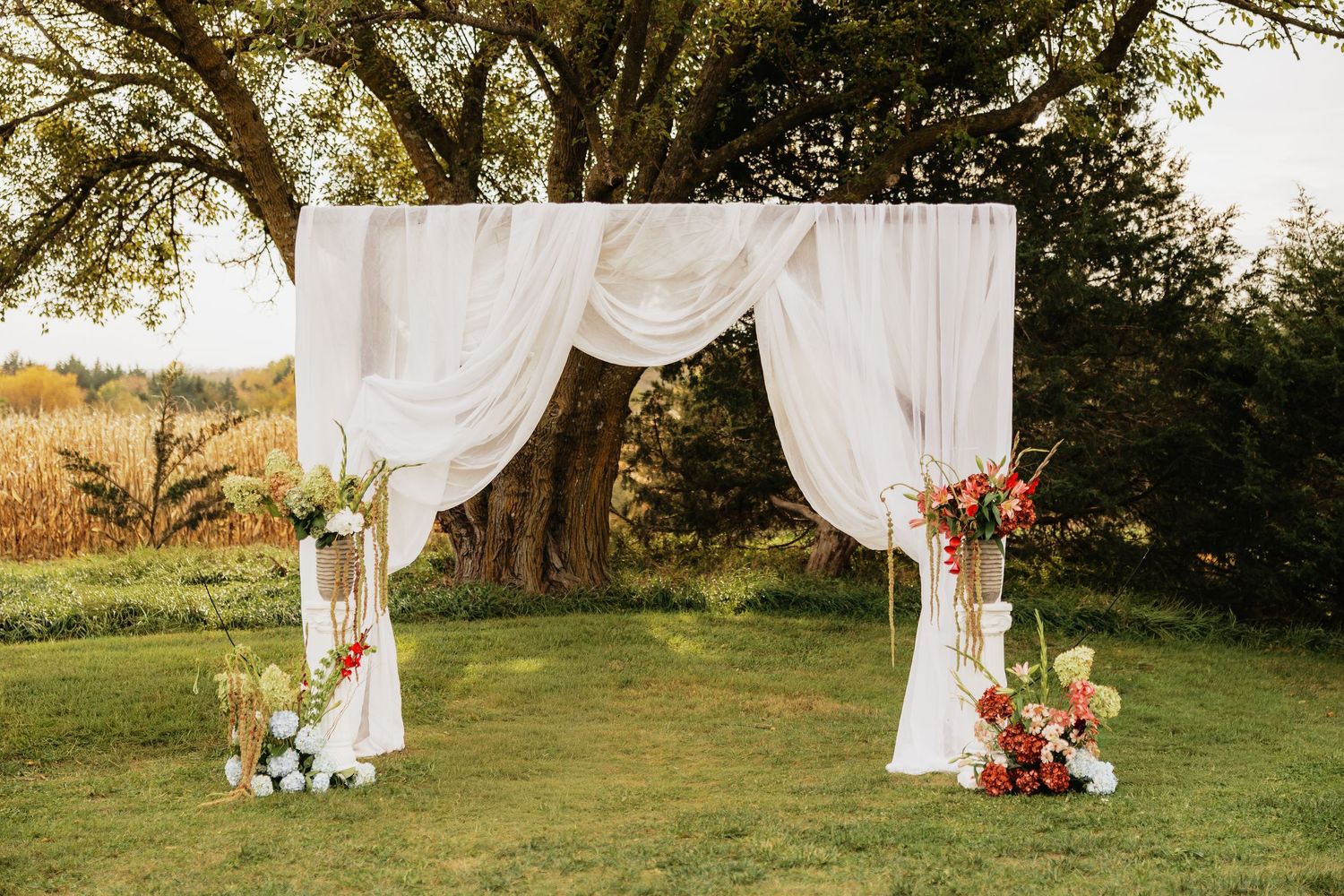 Outdoor wedding ceremony arch draped in white fabric with colorful floral arrangements beneath large trees on a grassy lawn.