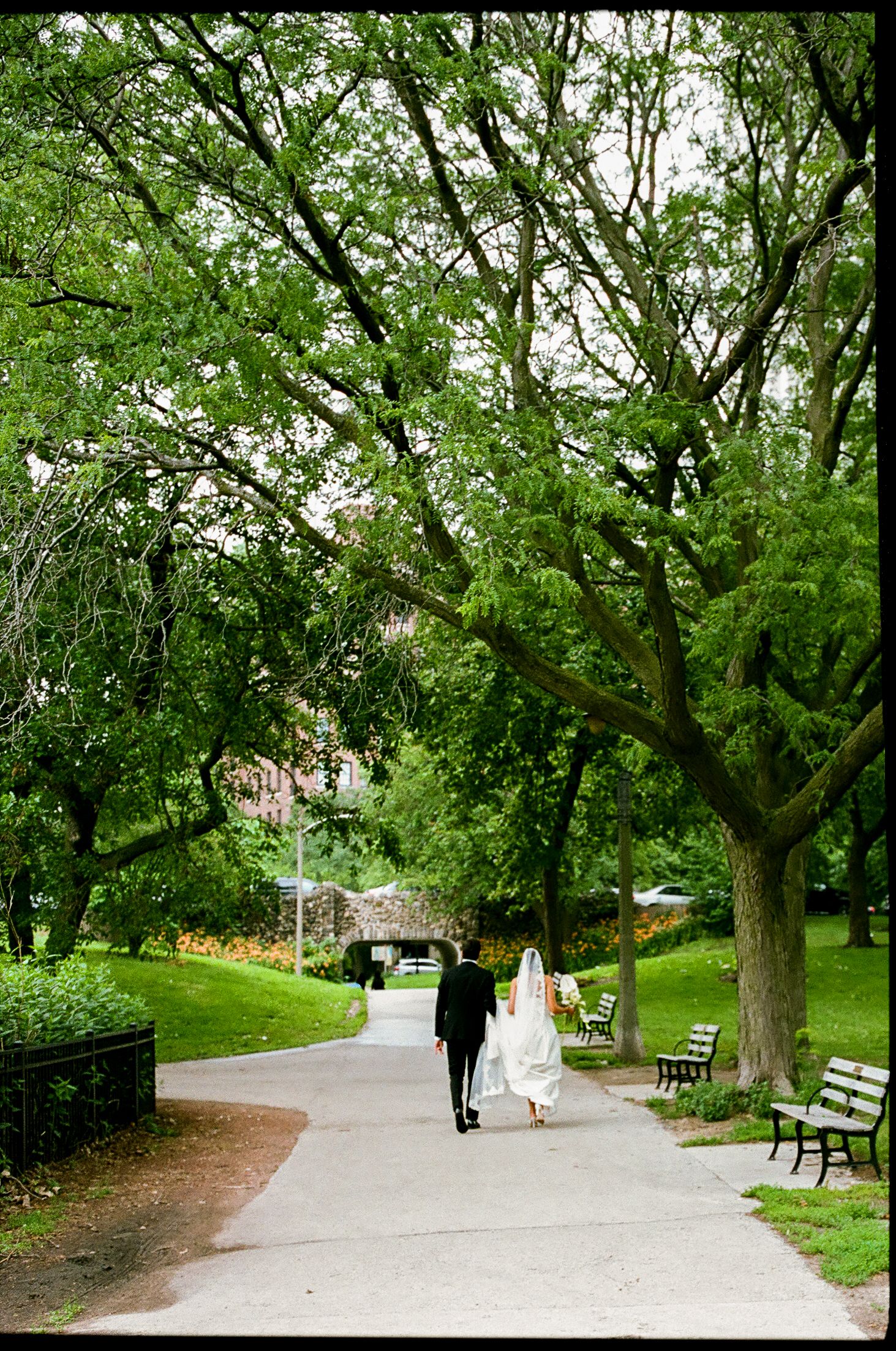 Bride and groom walking hand in hand along a tree-lined park path on their wedding day.