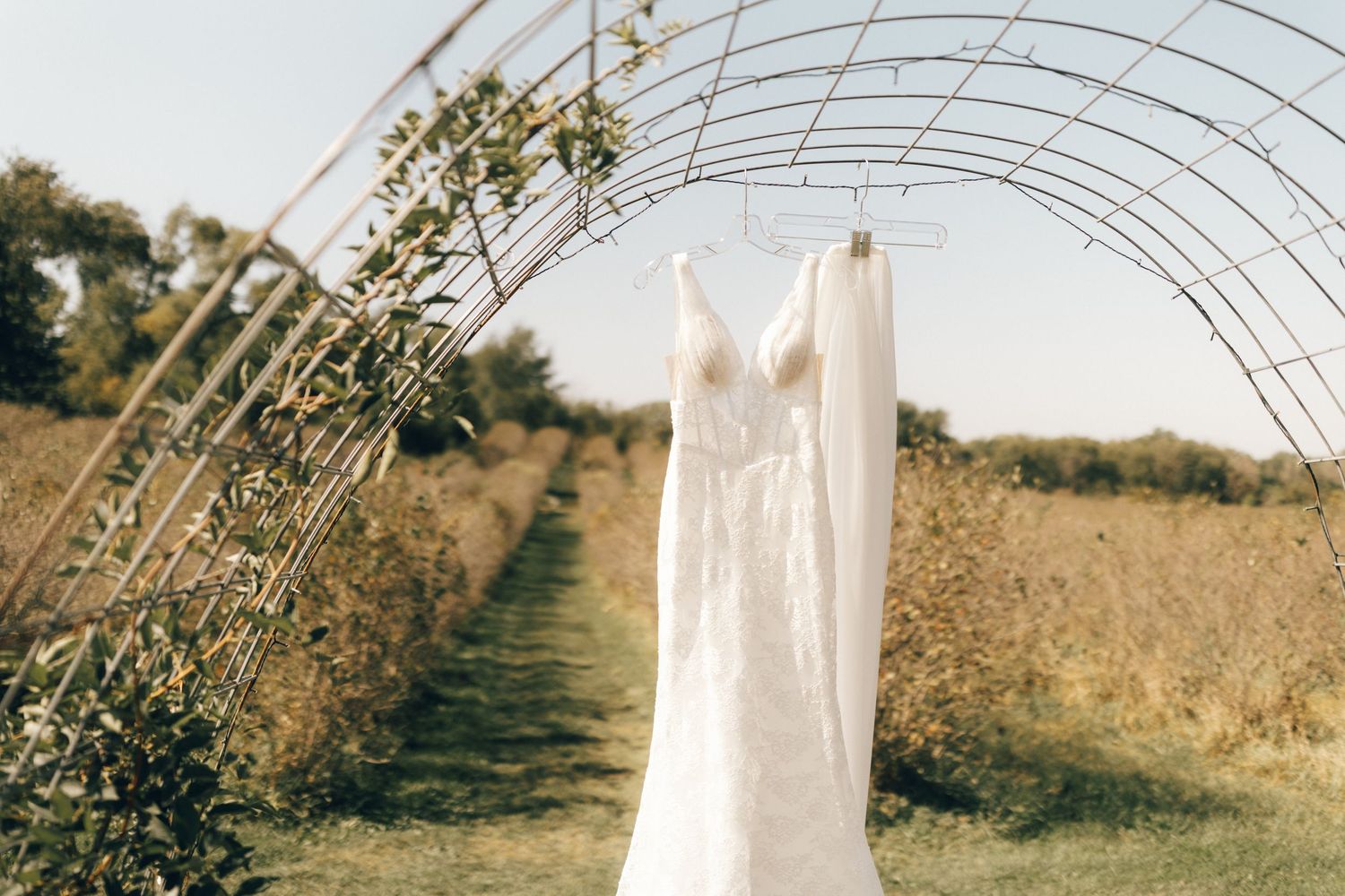 A white wedding dress hangs from a rustic greenhouse frame in a golden field at sunset.