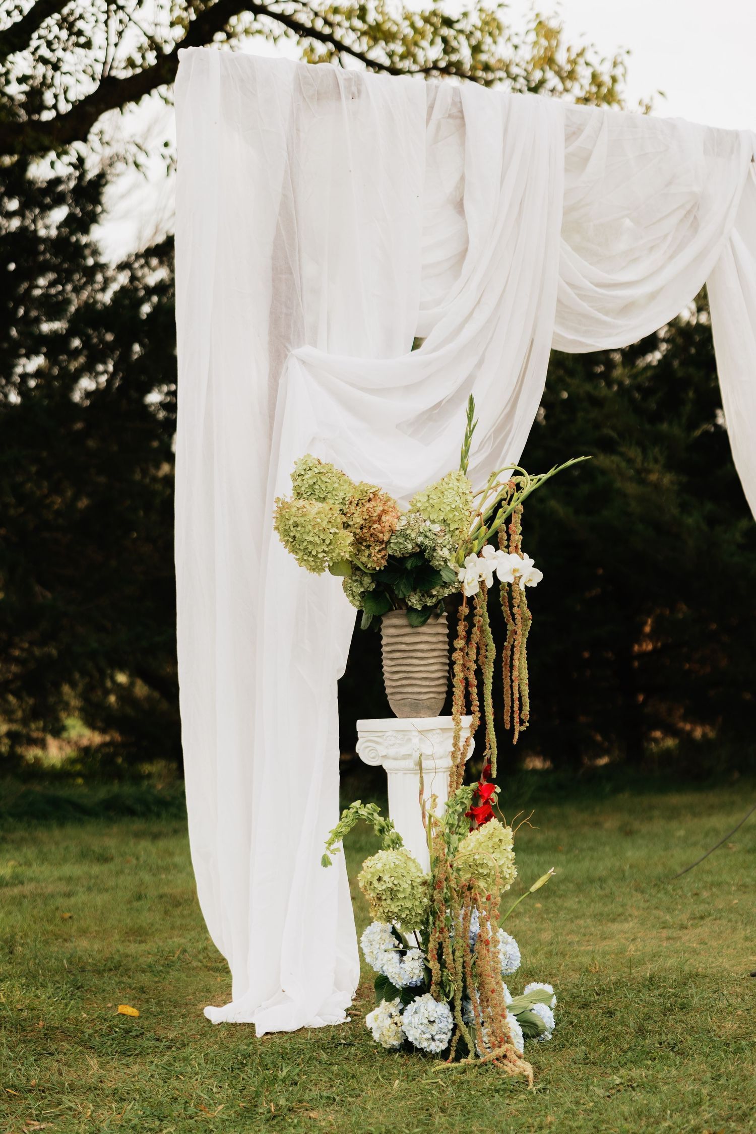 White draped fabric hangs from a tree over a pedestal urn with hydrangeas and dried grasses, creating an outdoor wedding ceremony arch.