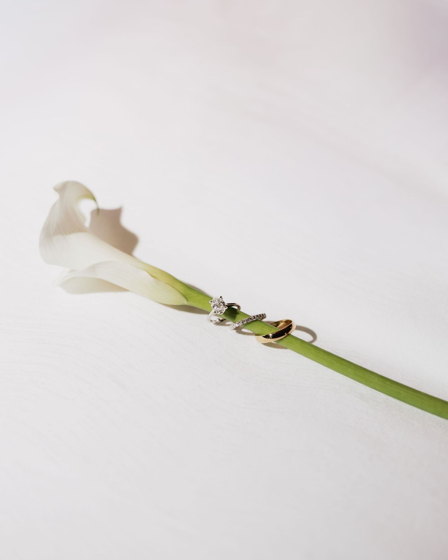 A delicate white calla lily with a gold and diamond ring resting on its green stem against a soft white background.