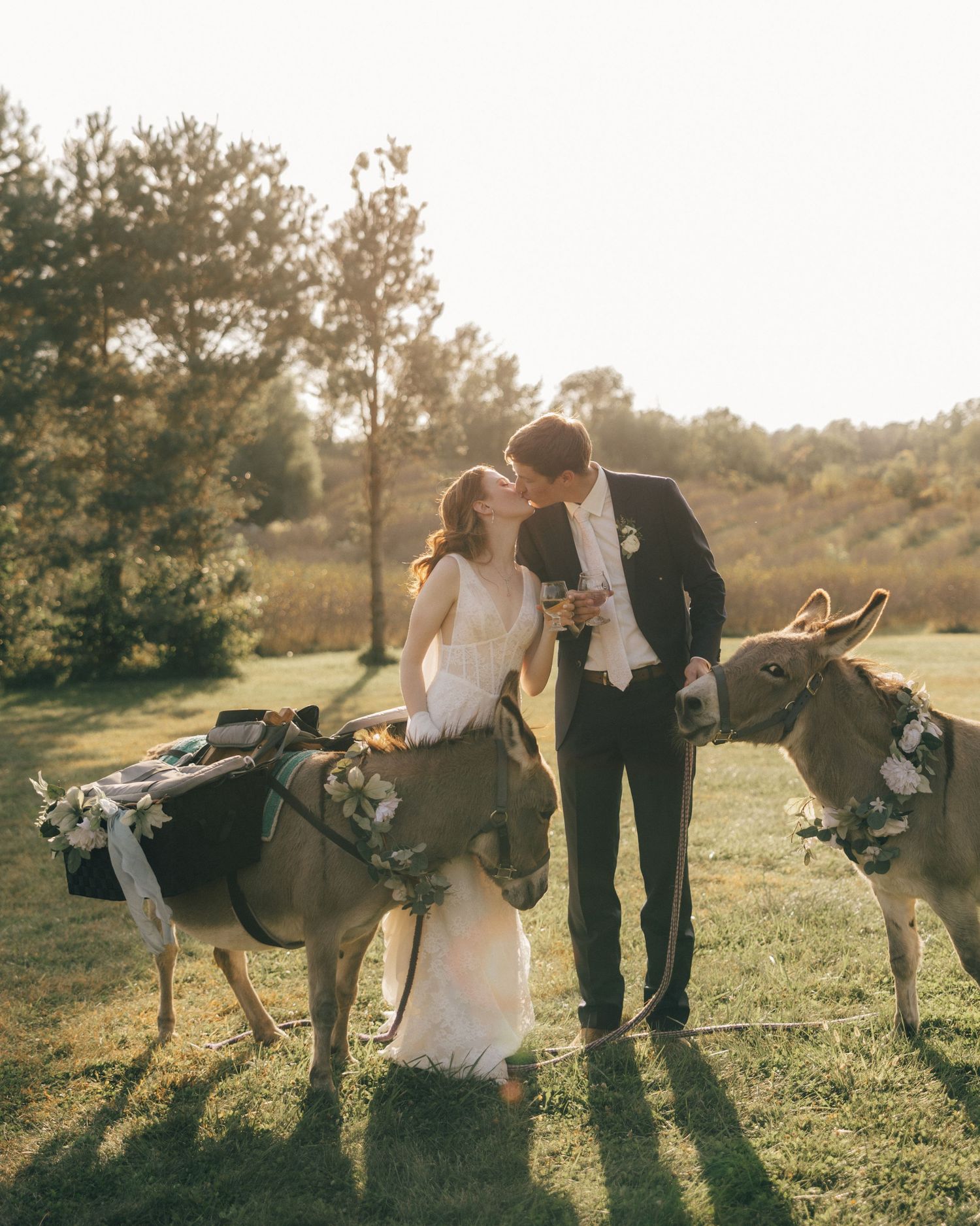 Newlyweds pose with donkeys in a sunlit field during their wedding photoshoot.