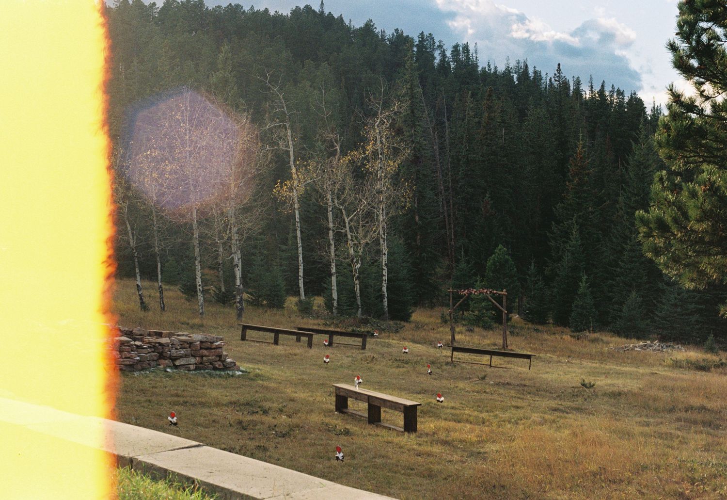 Rustic wooden benches in a mountain meadow clearing surrounded by pine and aspen trees under soft sunlight.