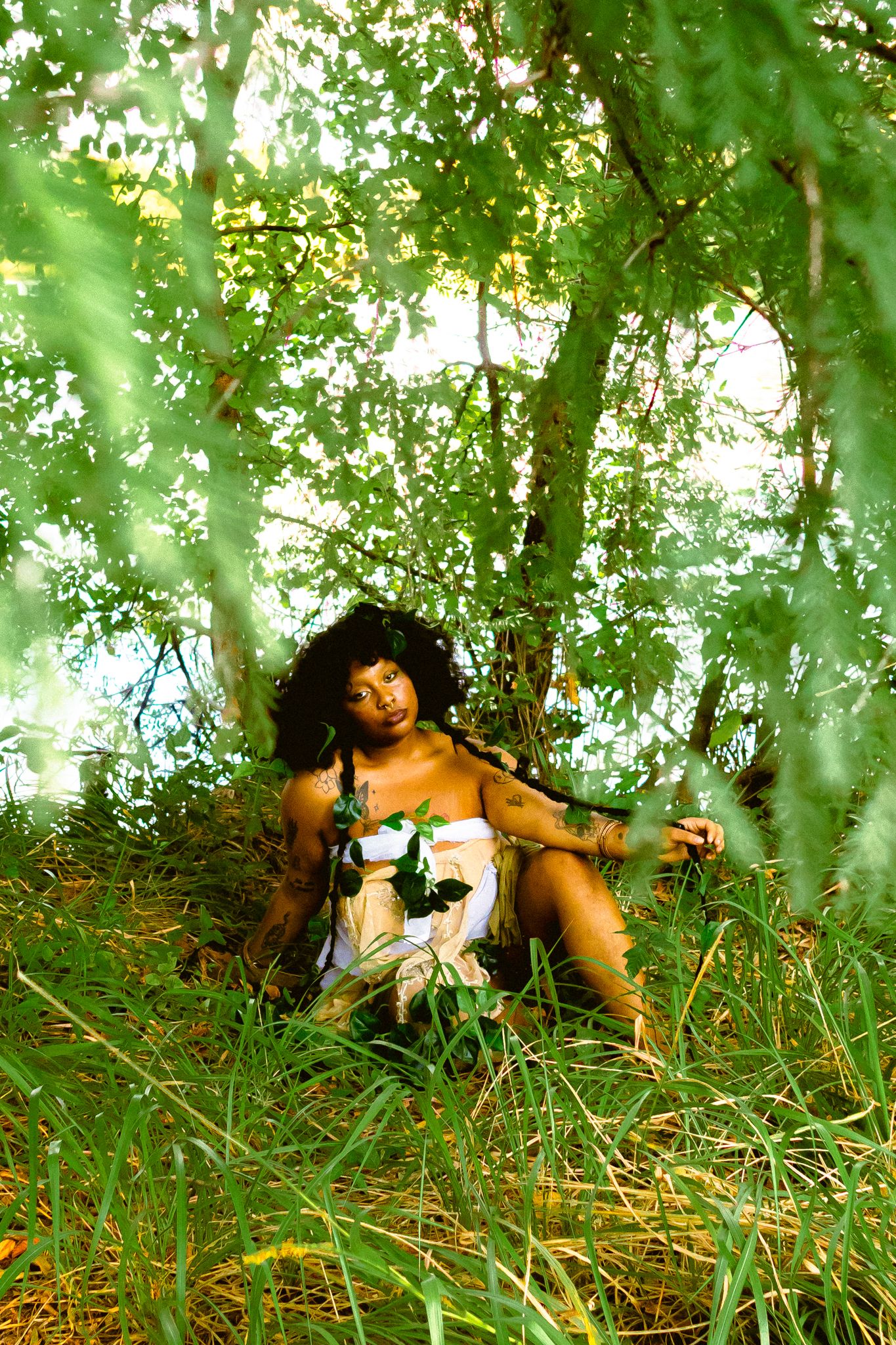 Whimsical forest photography with dappled sunlight filtering through leafy canopy.