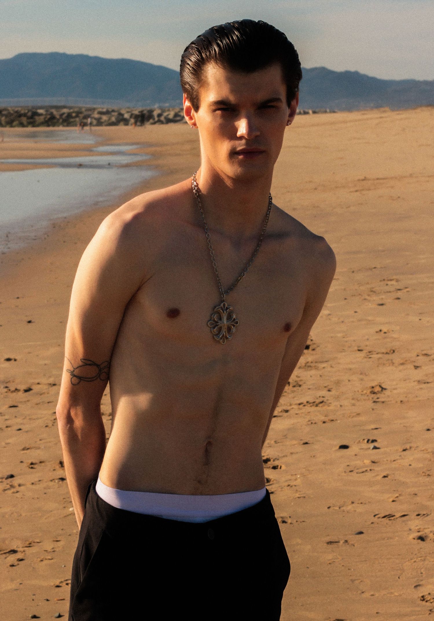 Artistic beach portrait with mountains and coastline in background.
