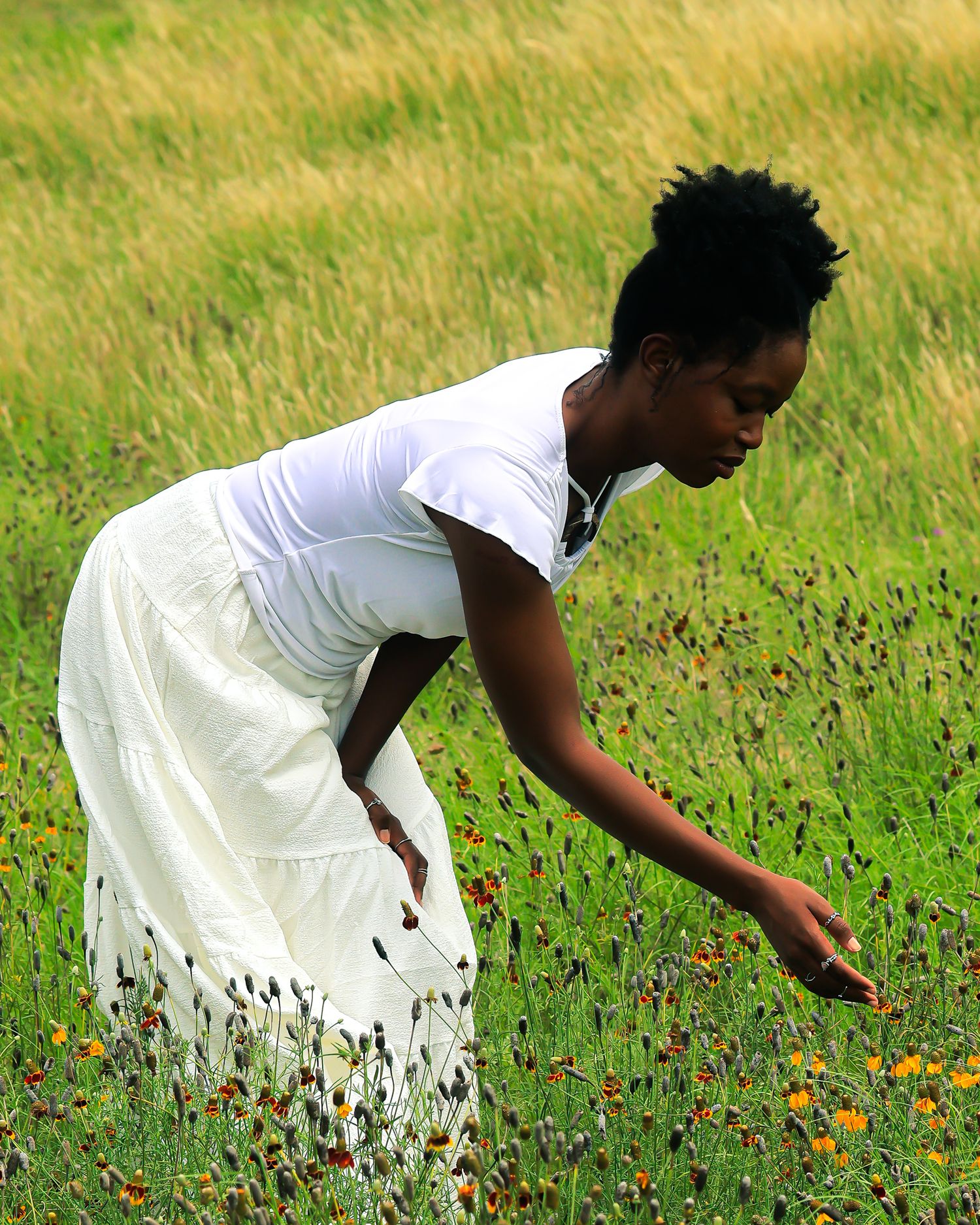 Figure in flowing white dress bending to pick wildflowers in sunny meadow.