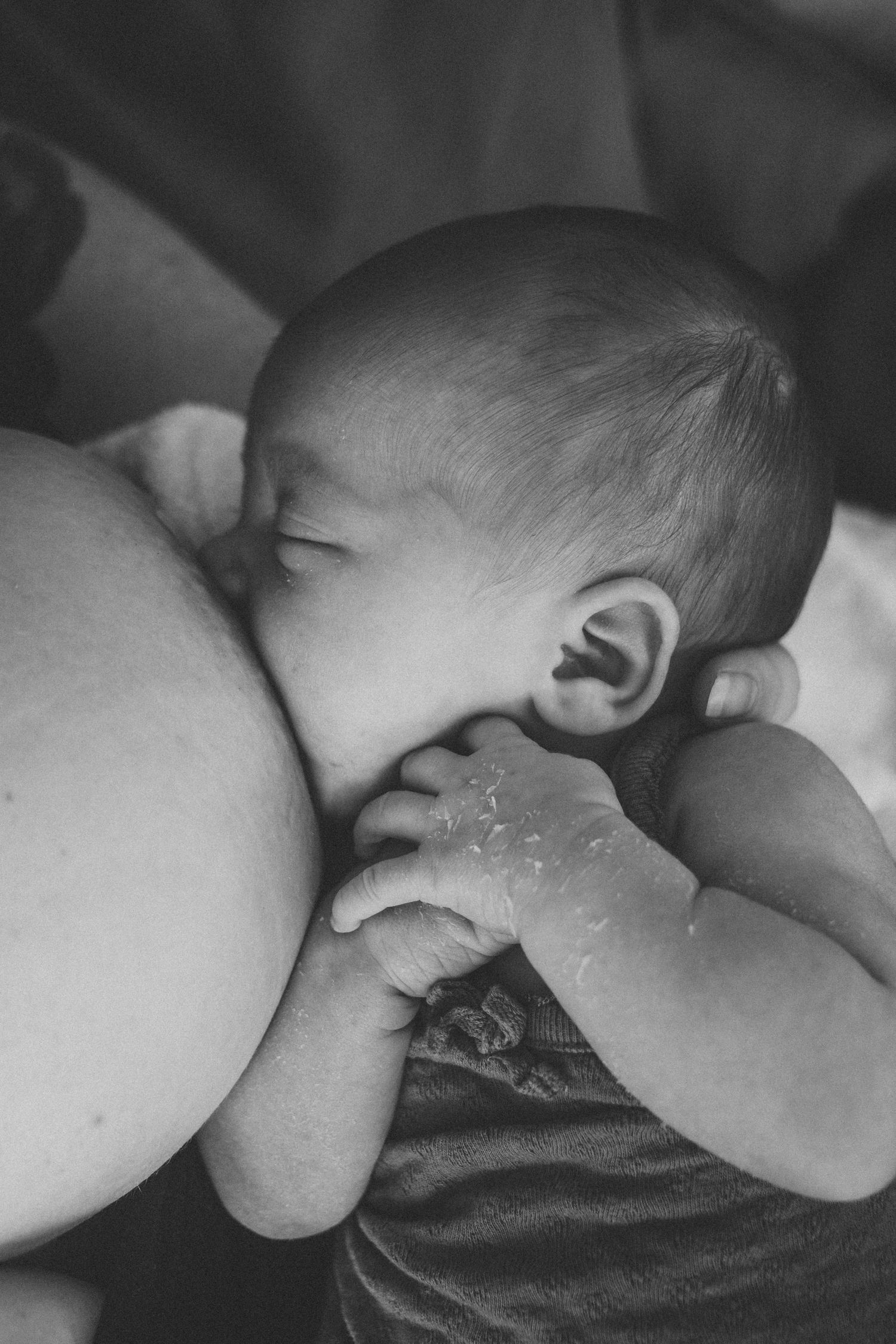 Candid newborn photography in Nowra by Love, Sophie