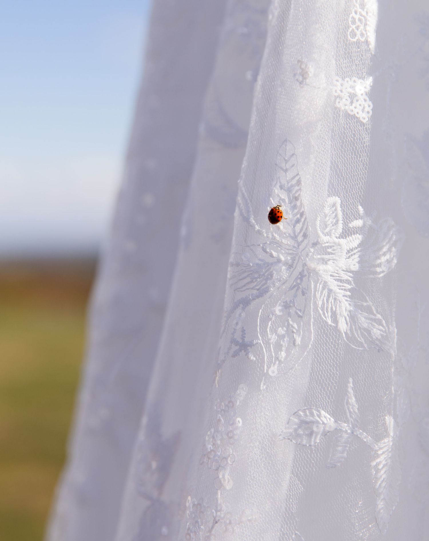 Wedding photography documenting every detail, from engagement sessions to “I do,” in Central PA and beyond.