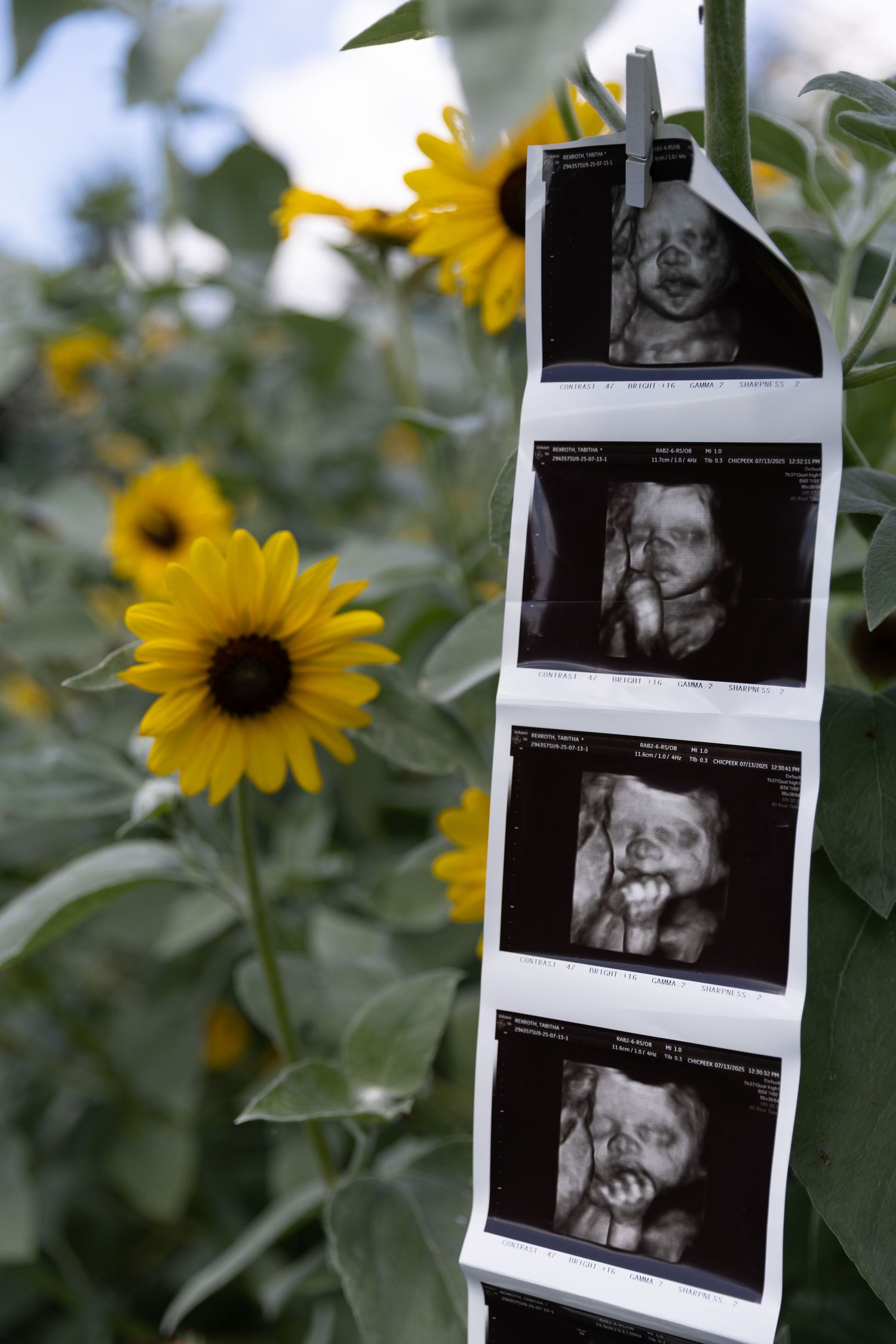 Lifestyle maternity and gender reveal sessions highlighting natural moments, anticipation, and celebration in Central PA and beyond.
