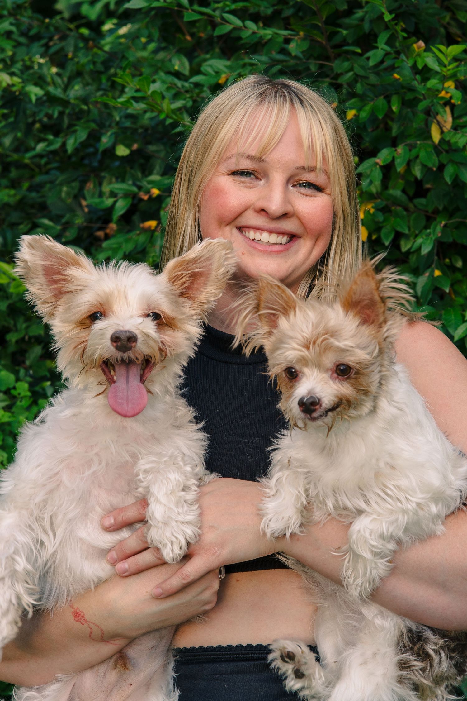 Person holding two small fluffy white dogs who are smiling at the camera.