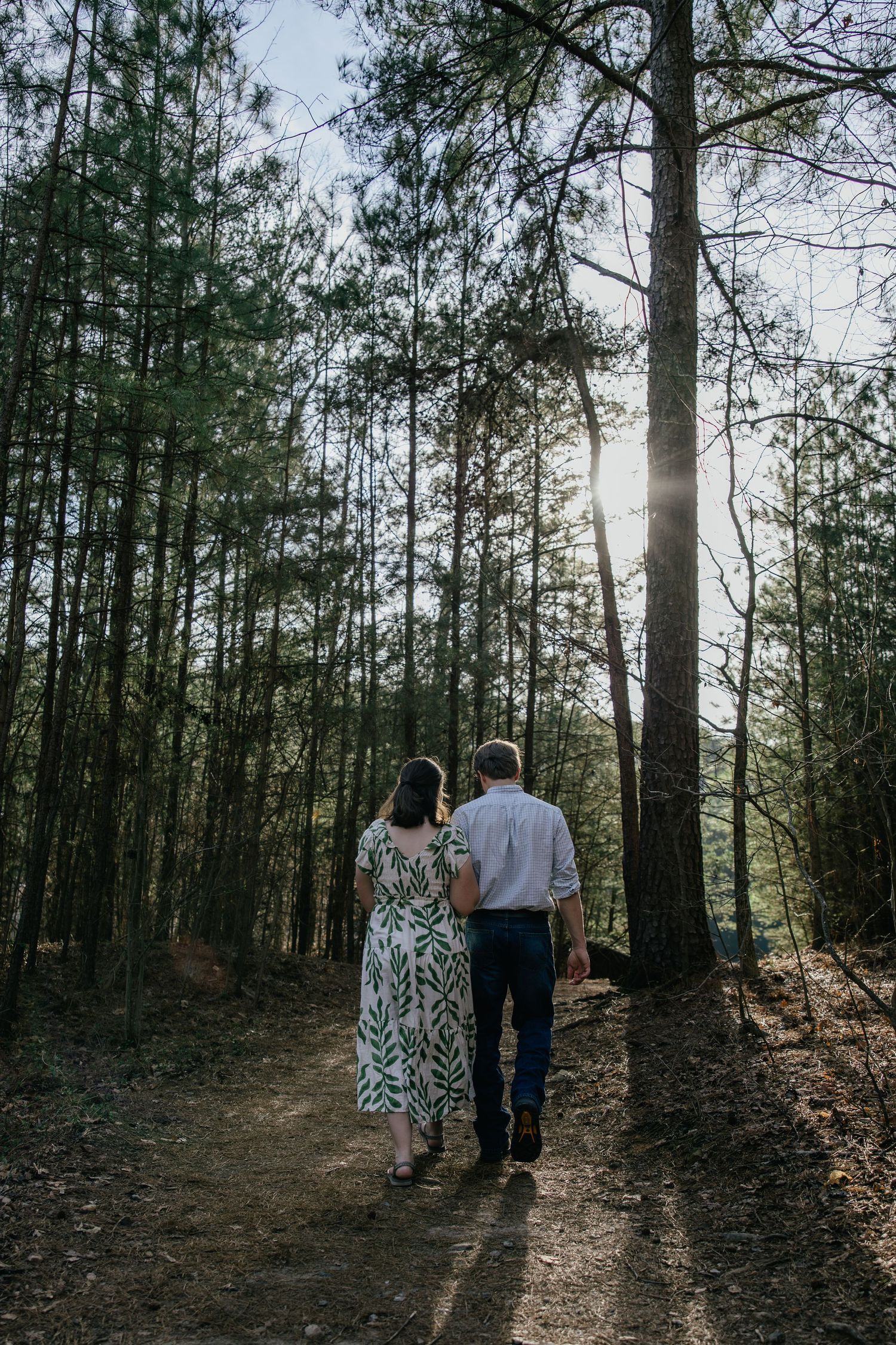 A couple walks through a sunlit forest path holding hands as sunbeams filter through tall pine trees.