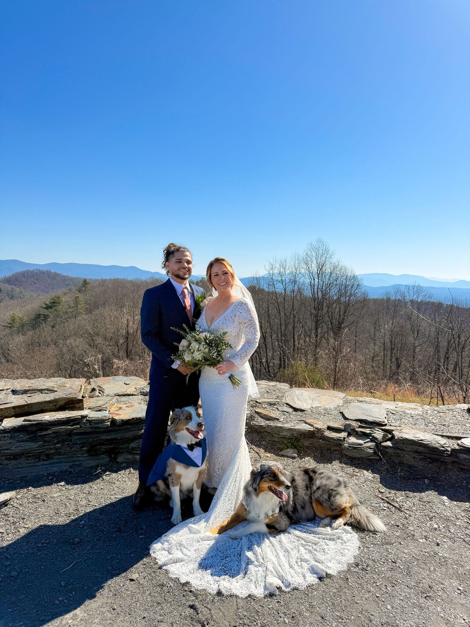 A mountain wedding portrait featuring a couple and their two dogs against a scenic vista backdrop.