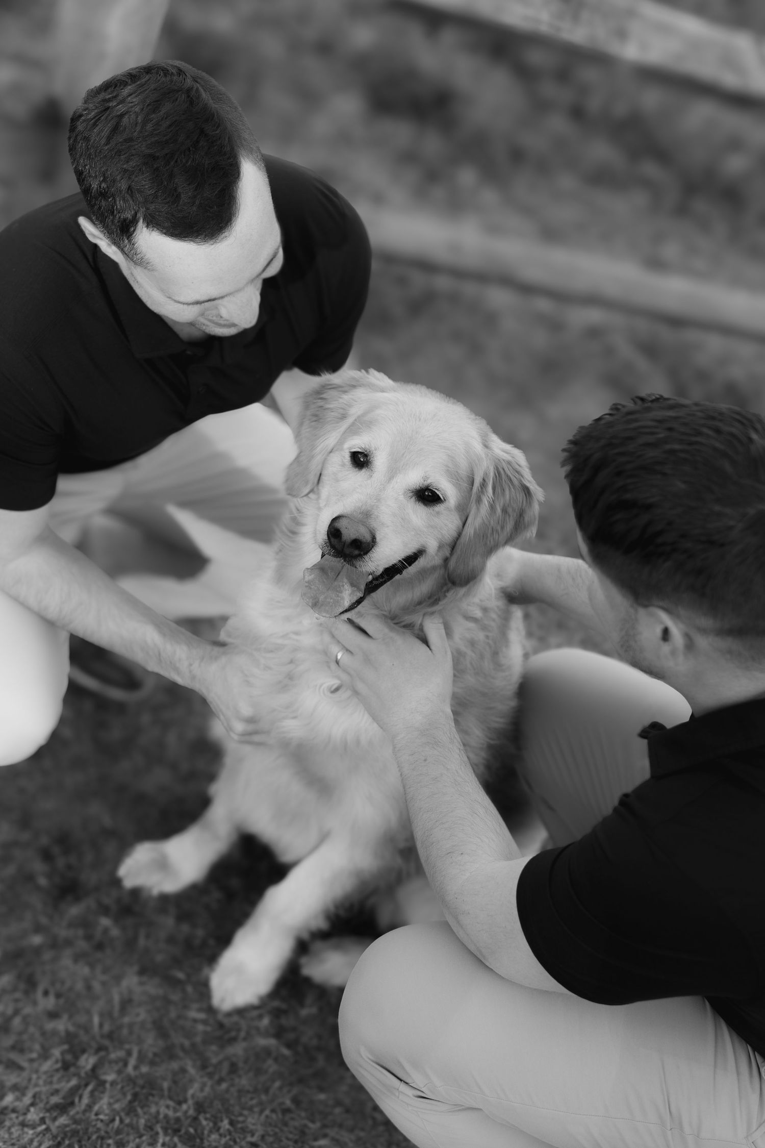 A person gives belly rubs to a happy white dog lying on its back on a dark surface.