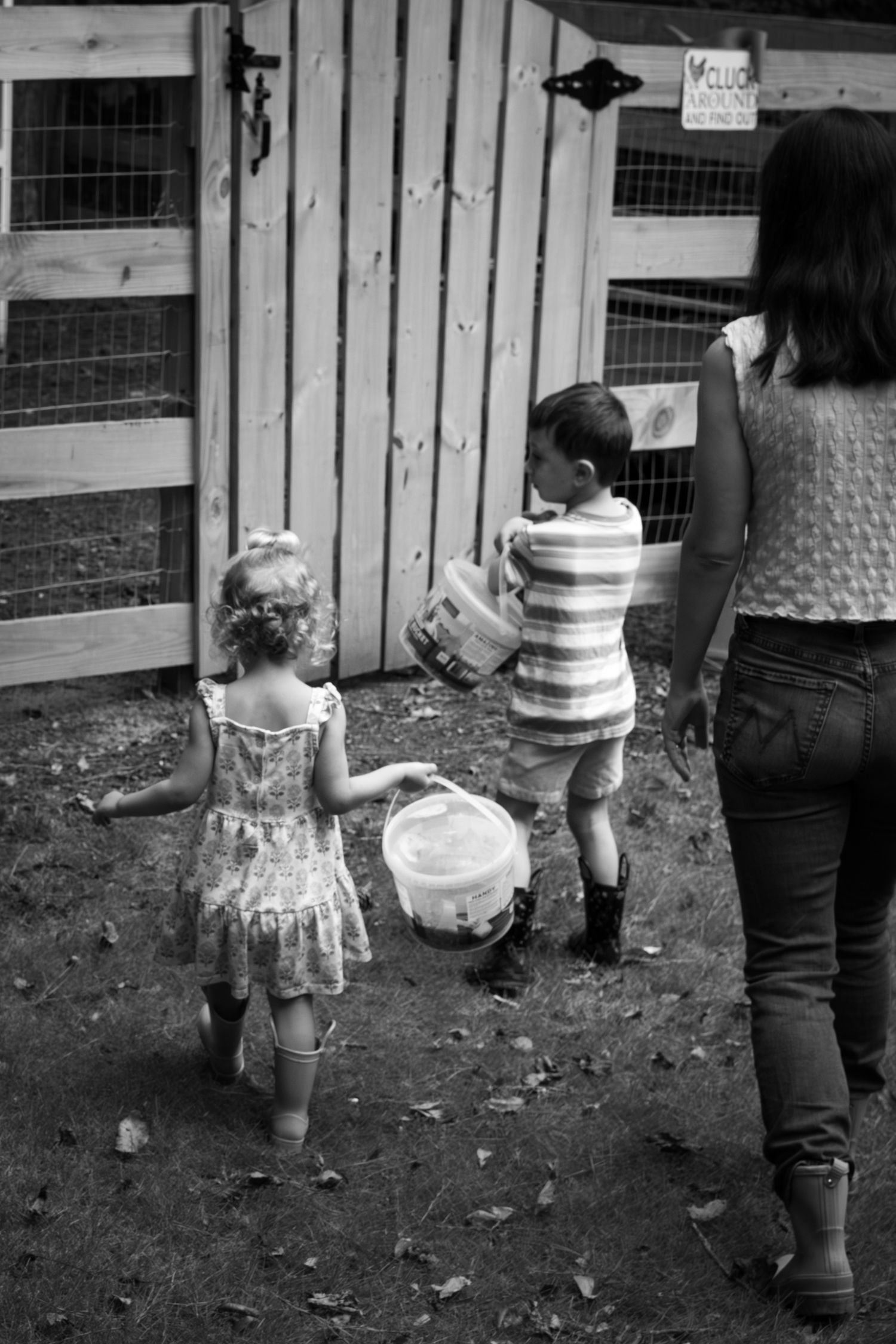 A black and white image of children and adult looking at farm animals through a fence.