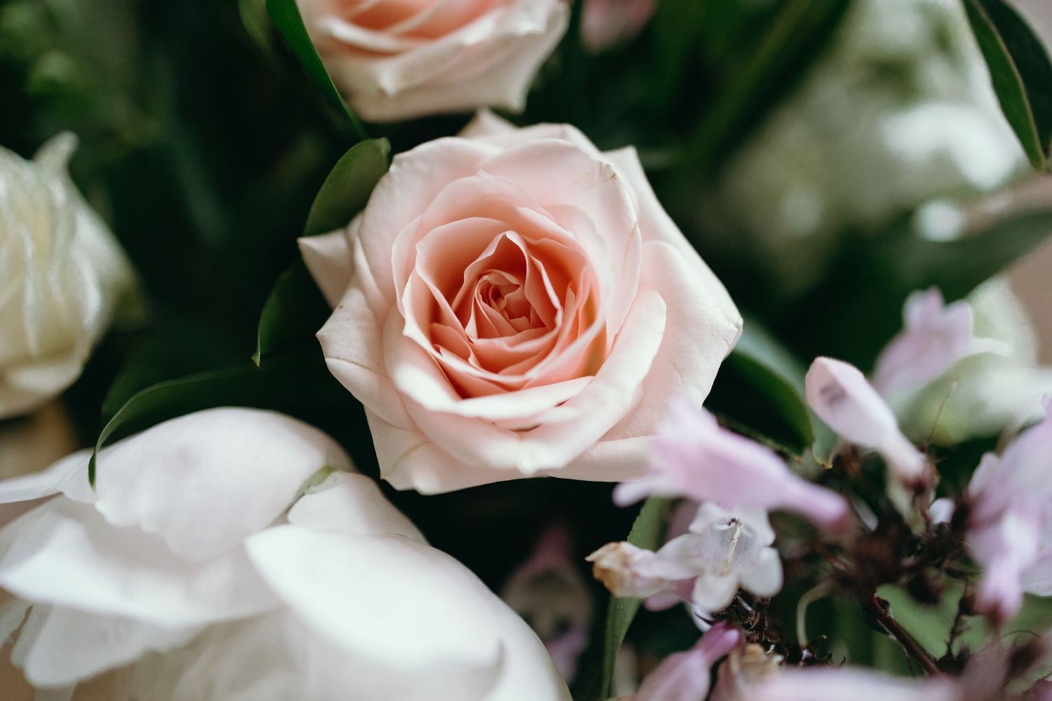 Soft pink roses woven together with delicate white flowers create a romantic floral arrangement against dark foliage.